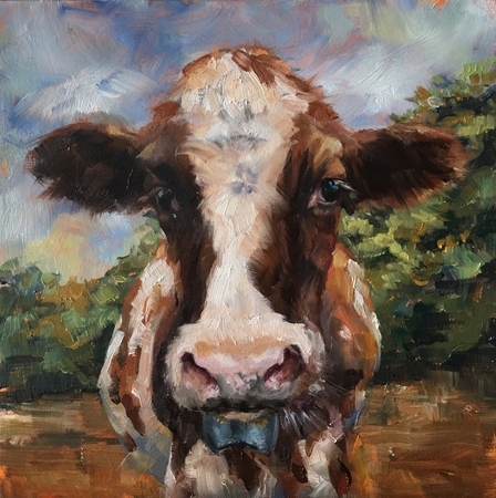 Swiss Cow