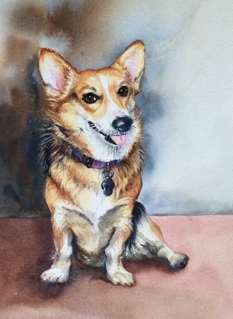 Poppy the Puppy