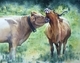 Meadow Kisses