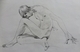 Life Sketch, Folded
