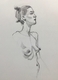 Torso