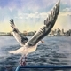 Lonsdale Liftoff